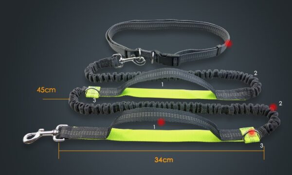 Amazon direct pet supplies multi-function running reflective pull dog leash double elastic dog leash traction - Image 4